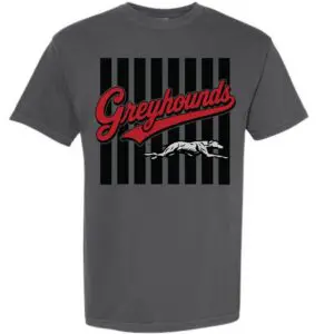 Comfort Colors Pepper Strawn Greyhounds T-shirt featuring a vintage varsity stripe graphic