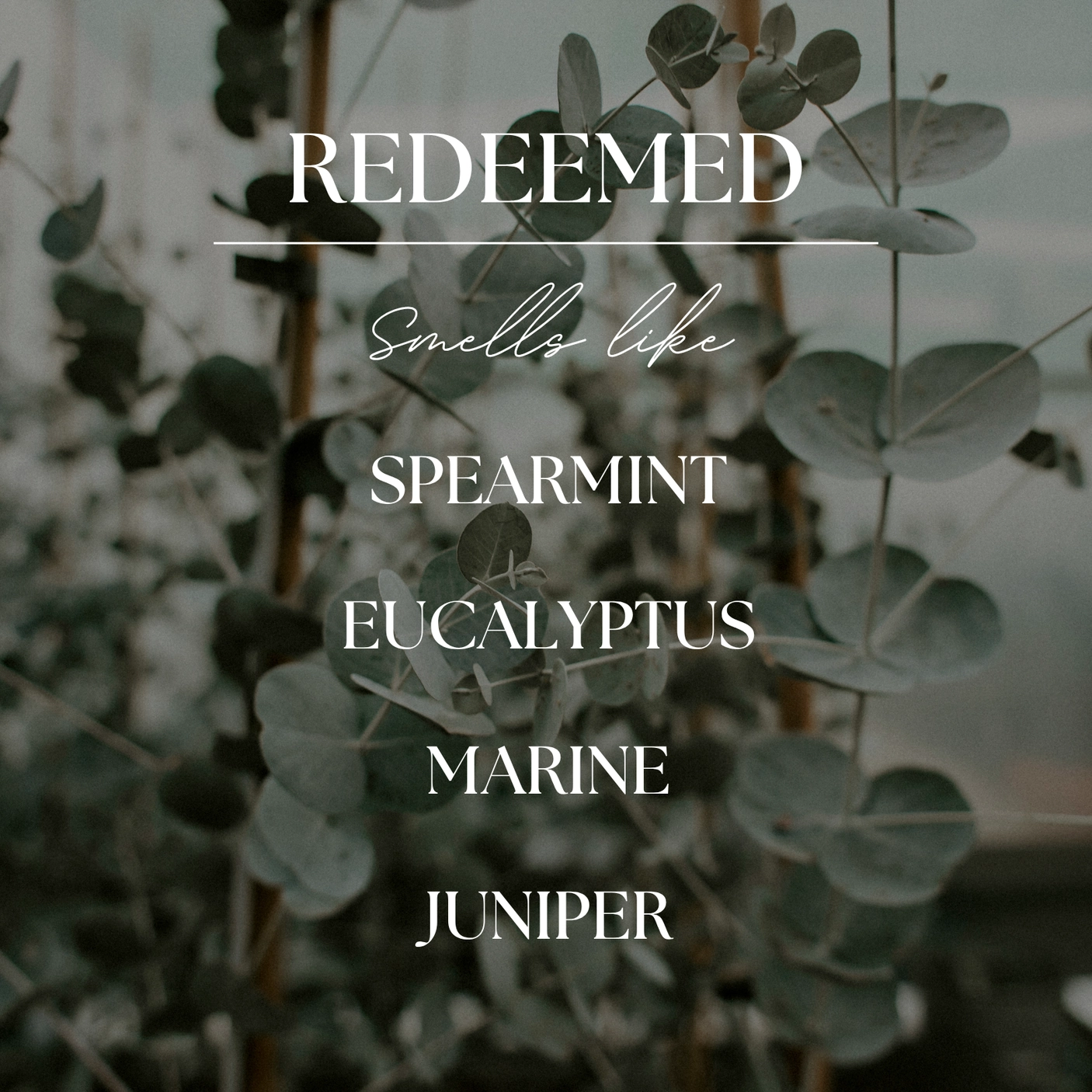 Redeemed | Eucalyptus & Mint | 9 oz. Clear Jar Soy Candle - Image 2